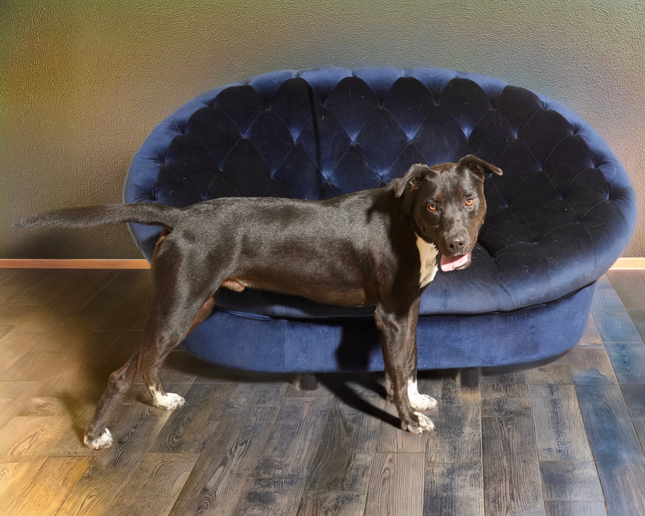 Additional photo of STEWY