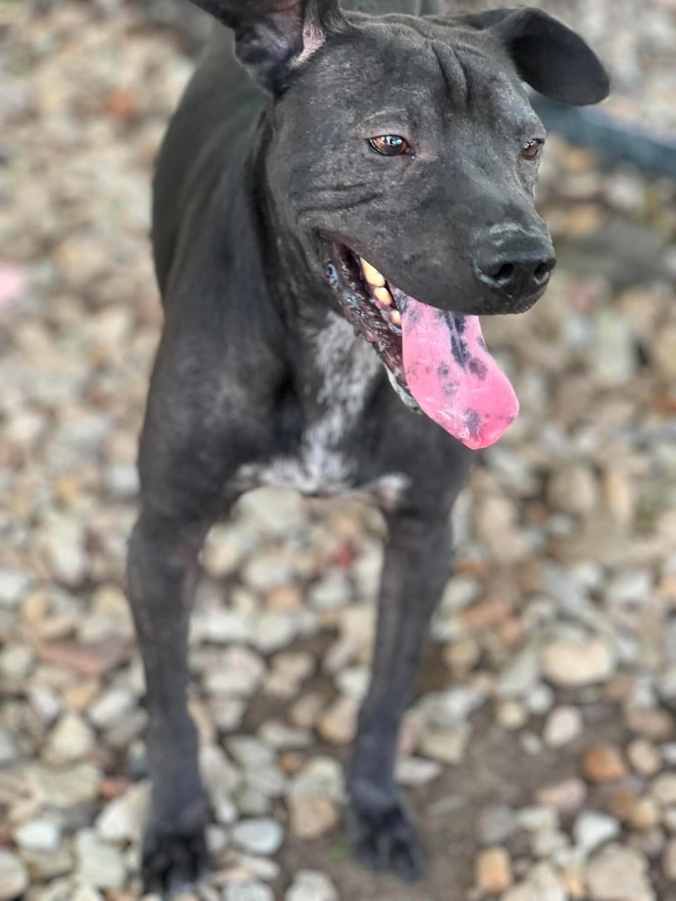 Additional photo of BUENO