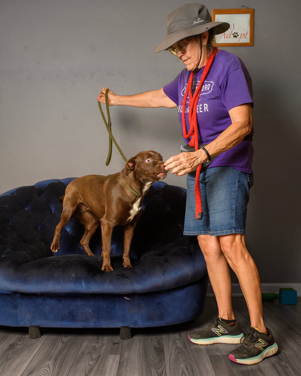 Additional photo of BROWNIE