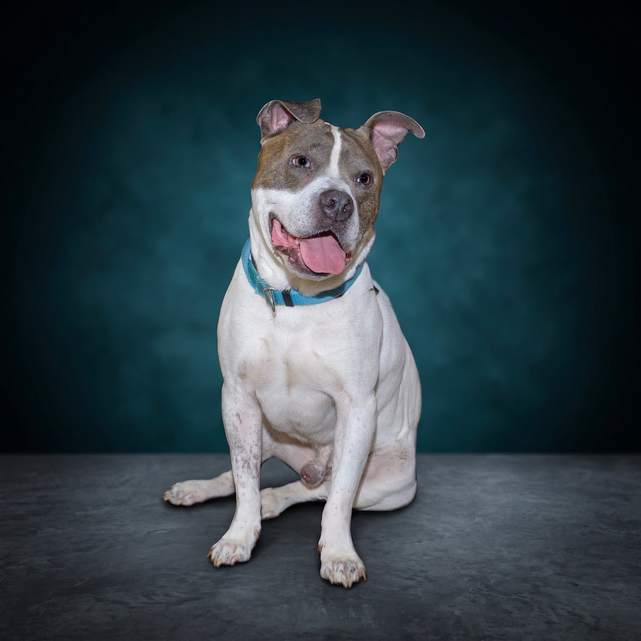 Additional photo of CHOWDER