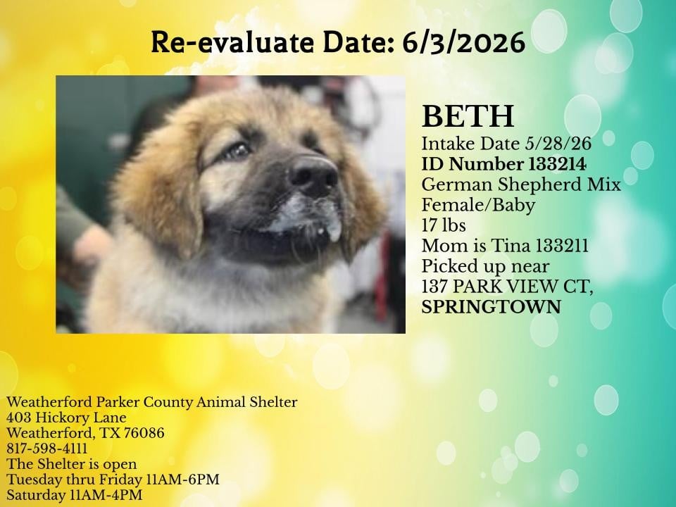BETH, a Shepherd