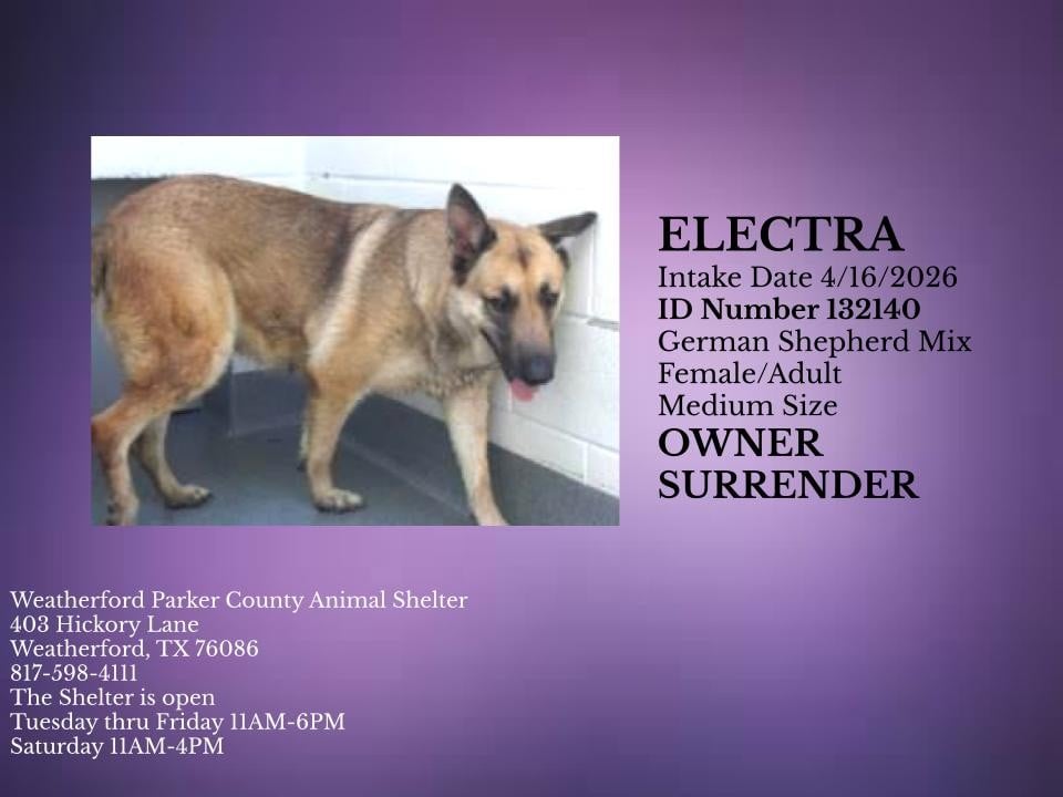 Additional photo of ELECTRA