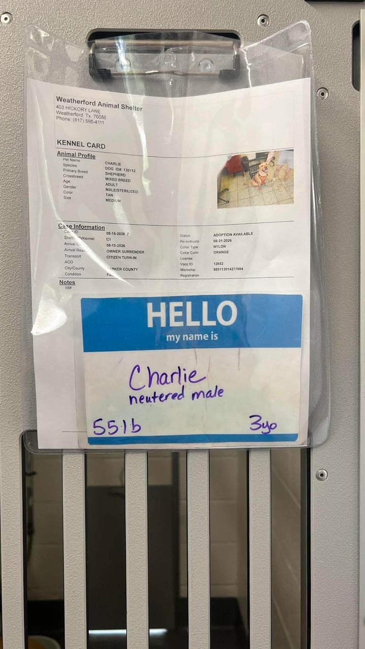 Additional photo of CHARLIE