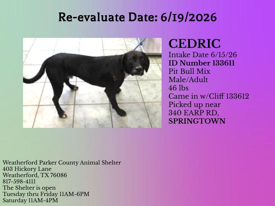 Additional photo of CEDRIC