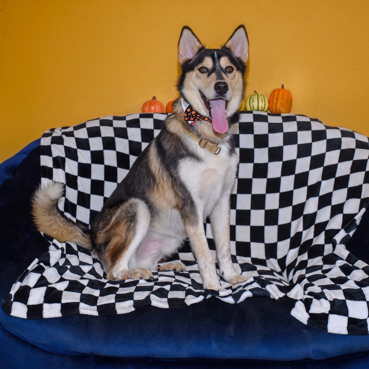 Additional photo of RILO