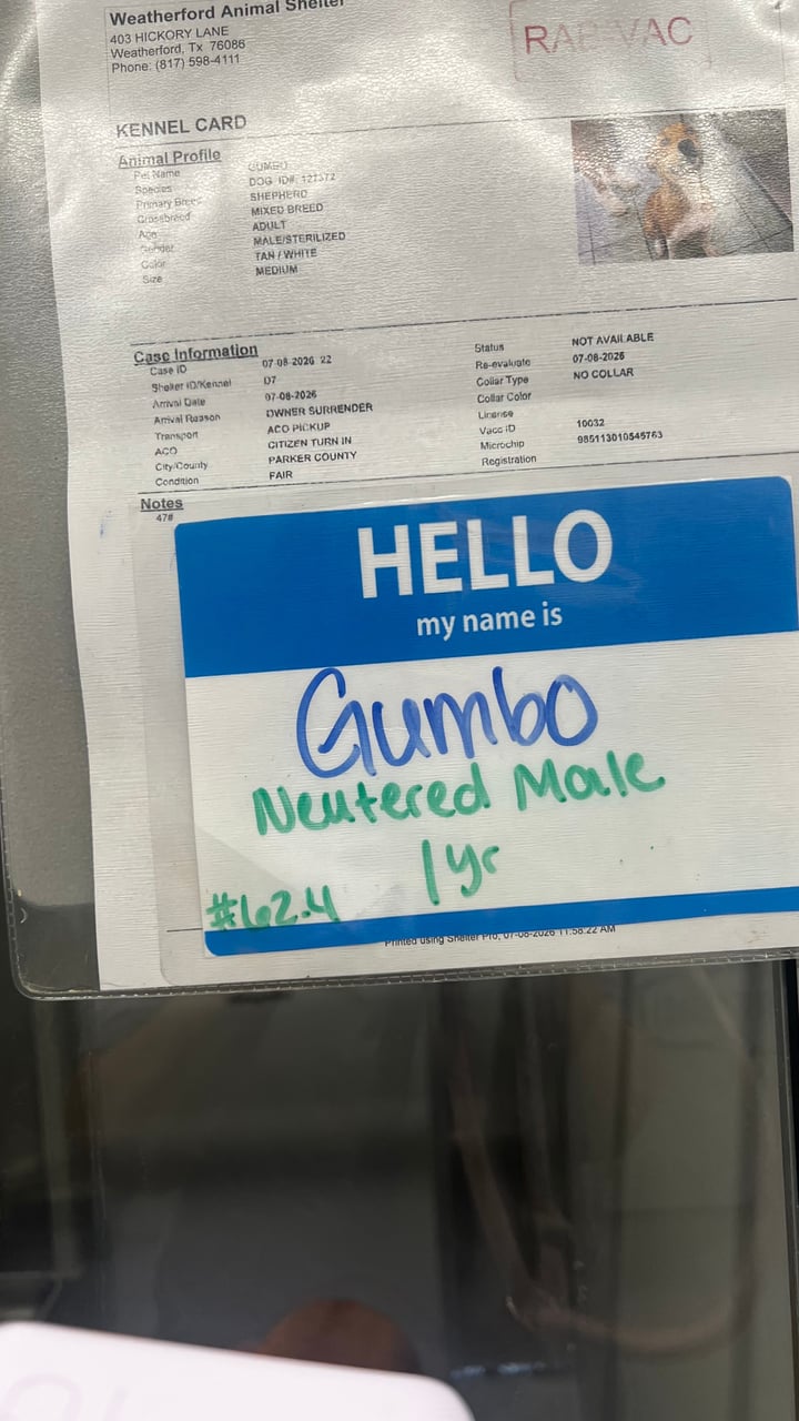 Additional photo of GUMBO