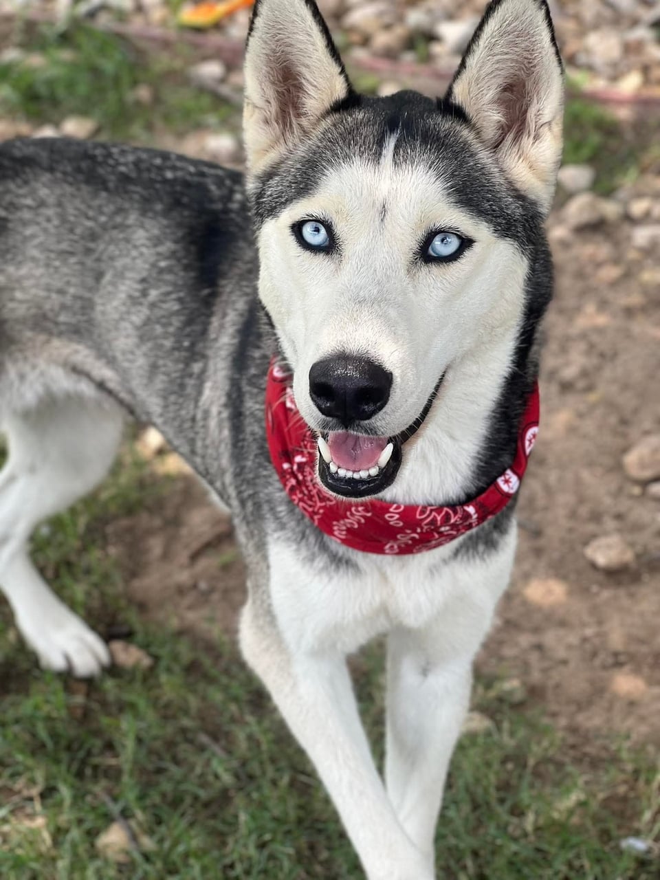 Additional photo of LUNA