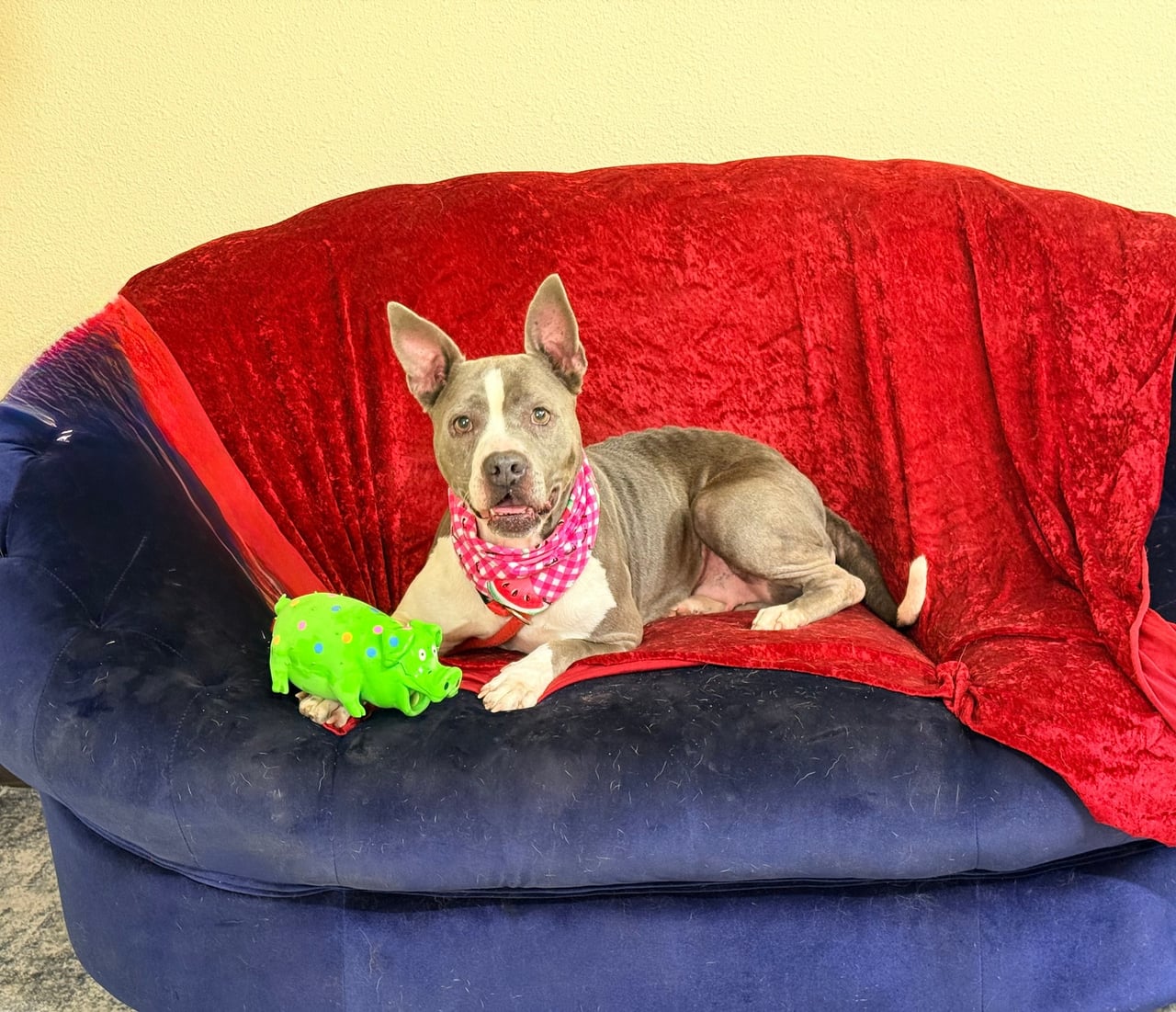 Additional photo of ROXY