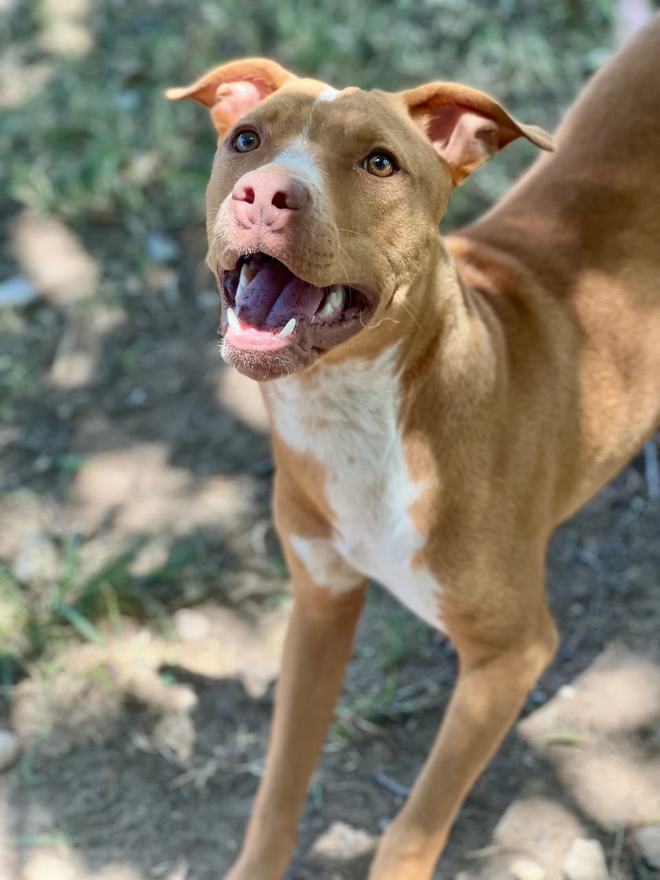 Additional photo of BUTTONS