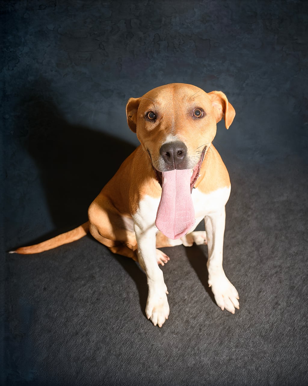 Additional photo of GUMBO