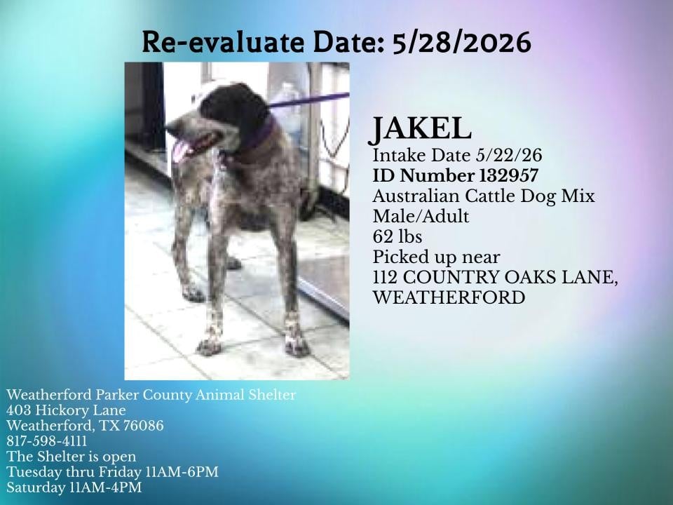 JAKEL