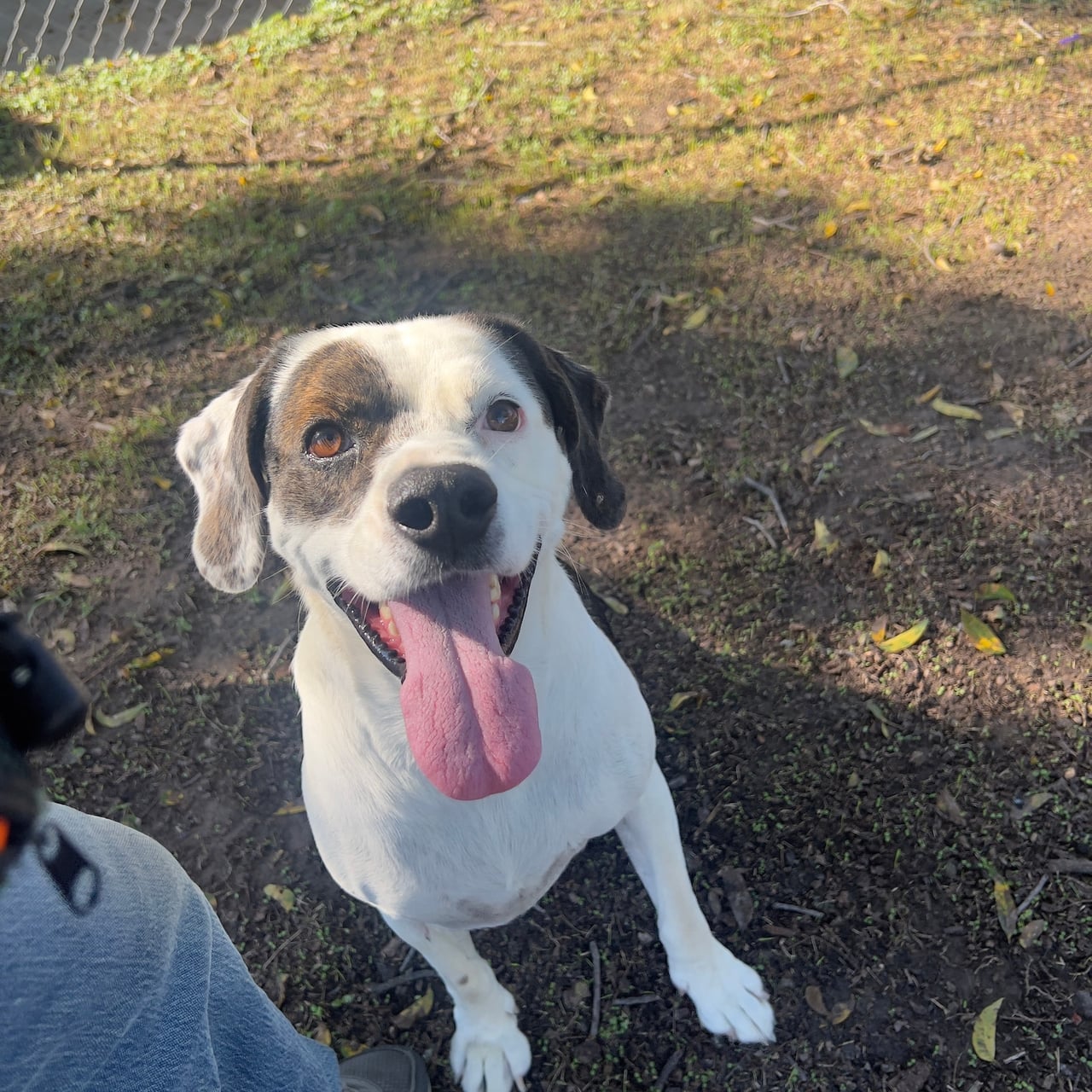 Additional photo of PETEY