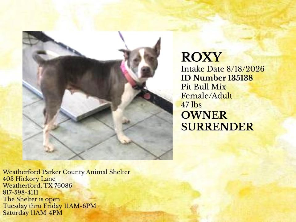 Additional photo of ROXY