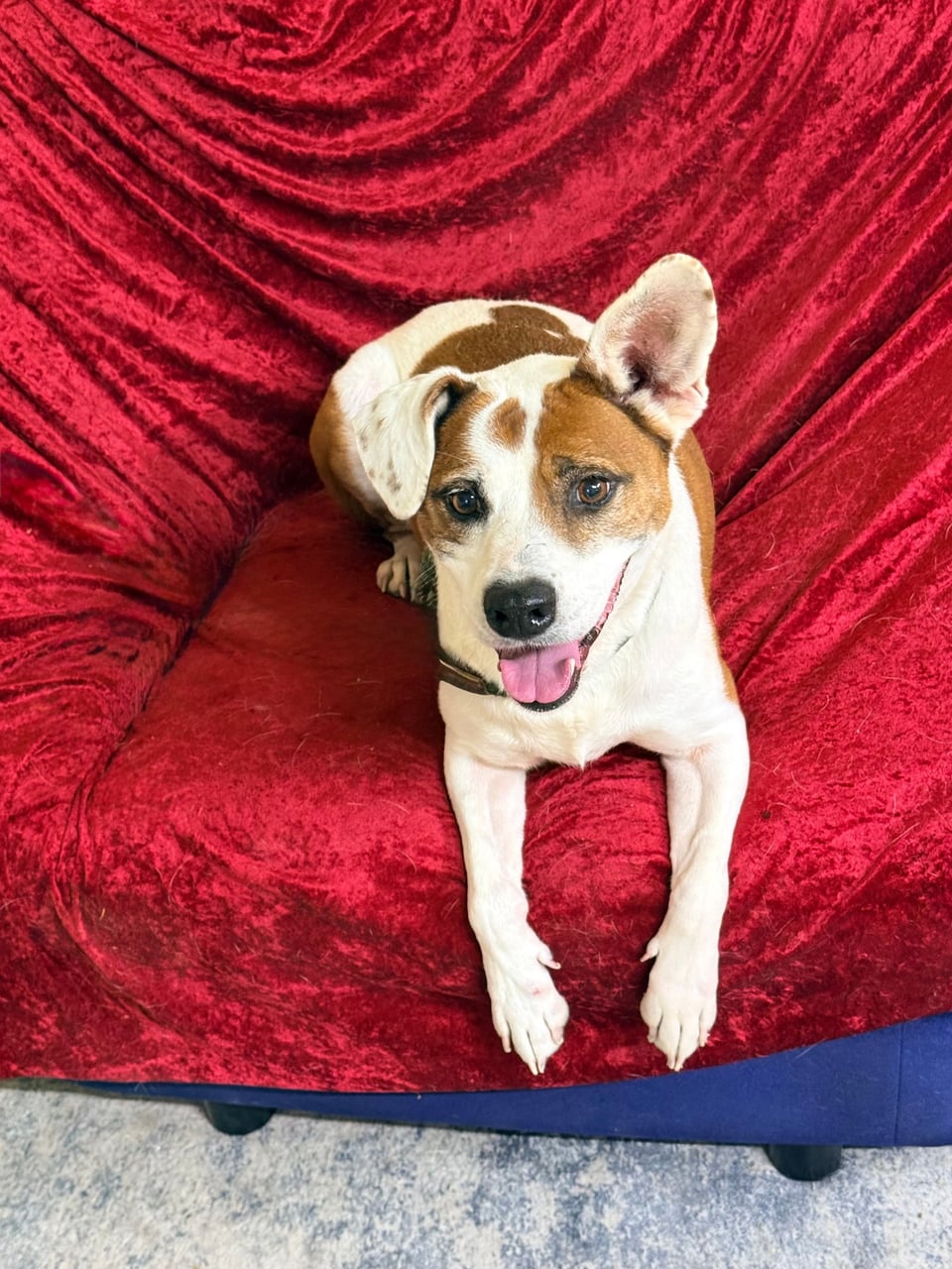 Additional photo of DUNCAN