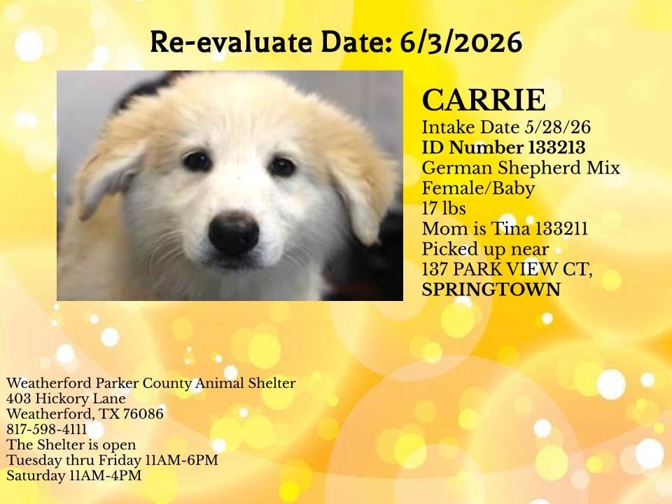 CARRIE, a Shepherd