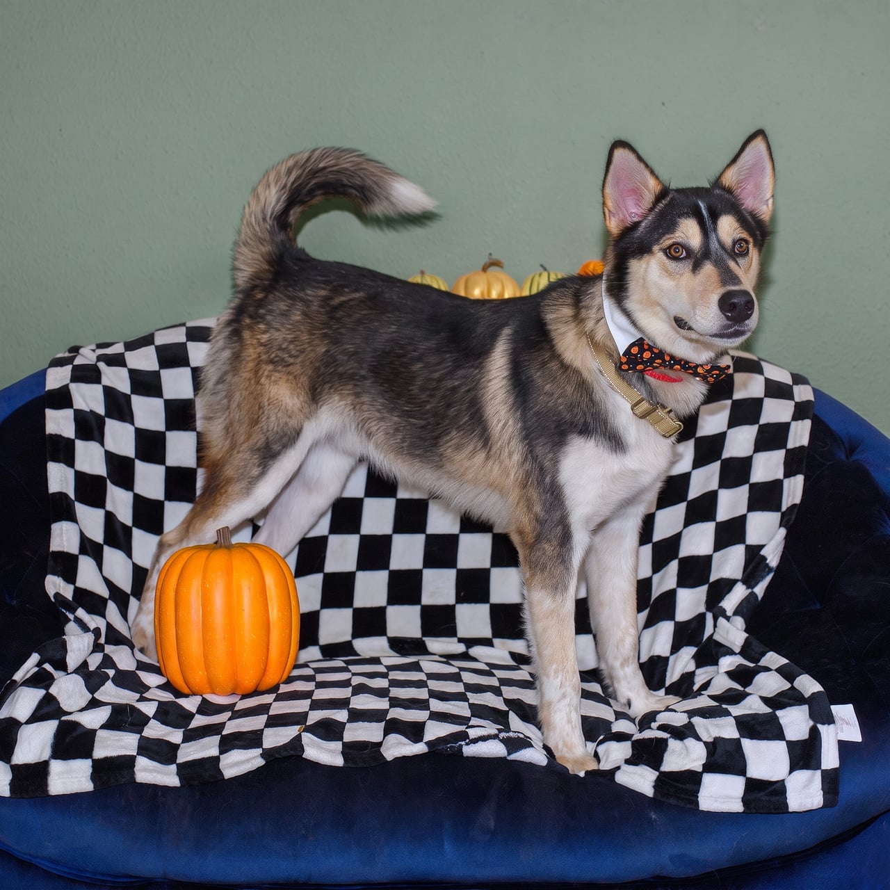 Additional photo of RILO
