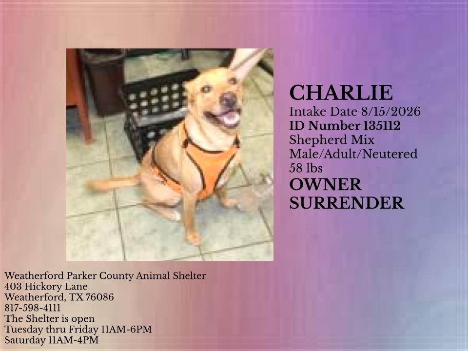 Additional photo of CHARLIE