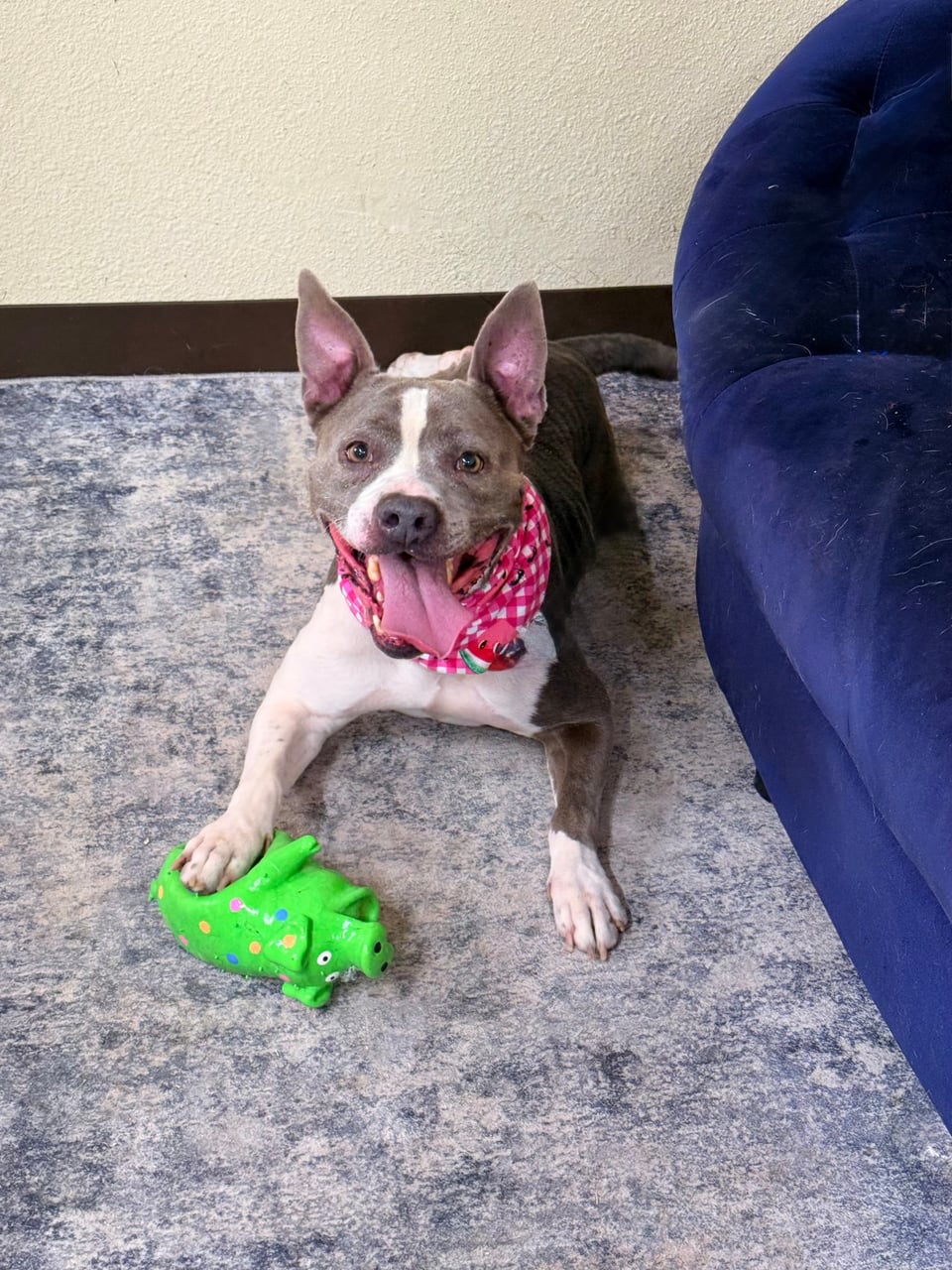 Additional photo of ROXY