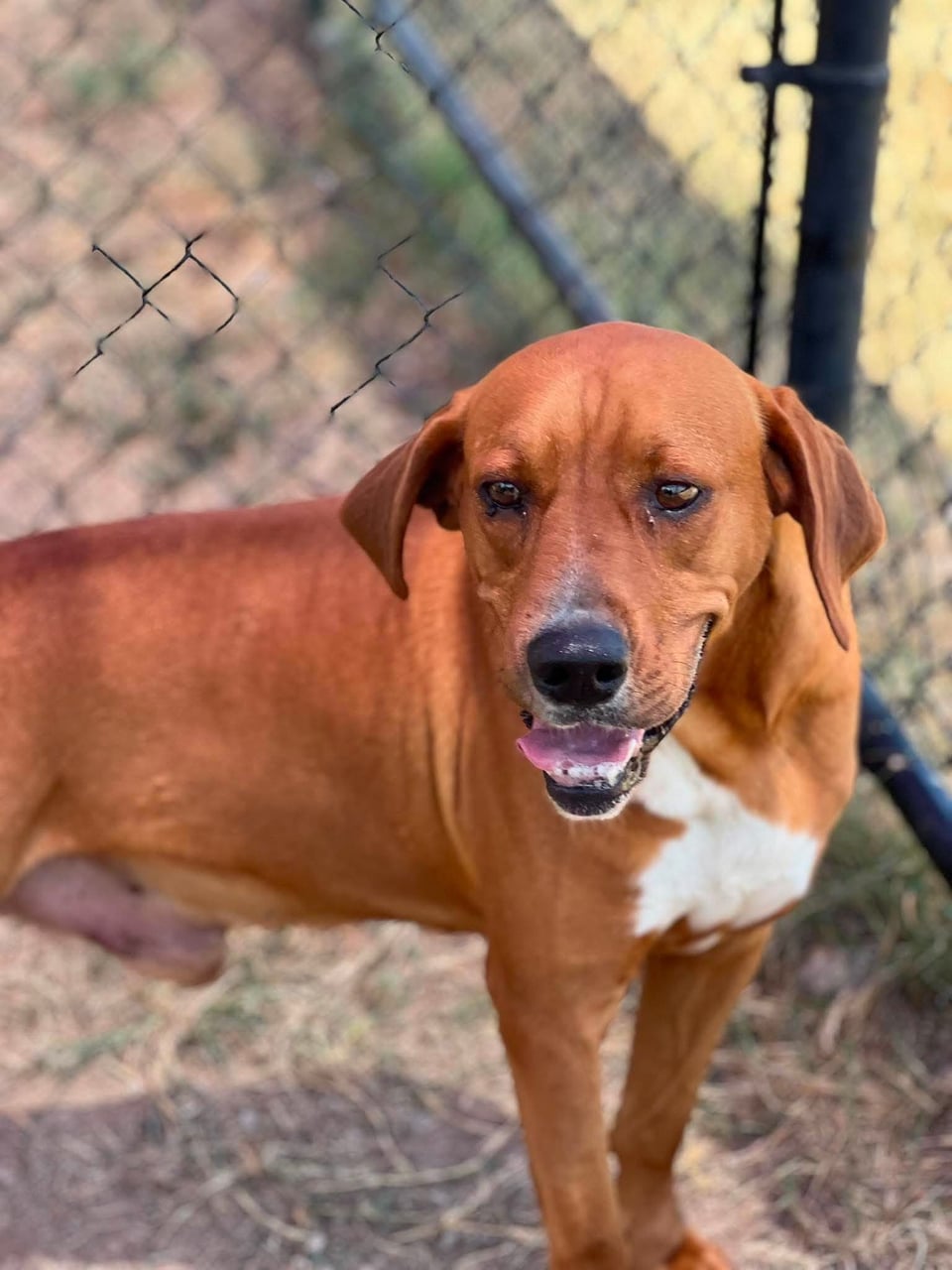 Additional photo of JARVIS