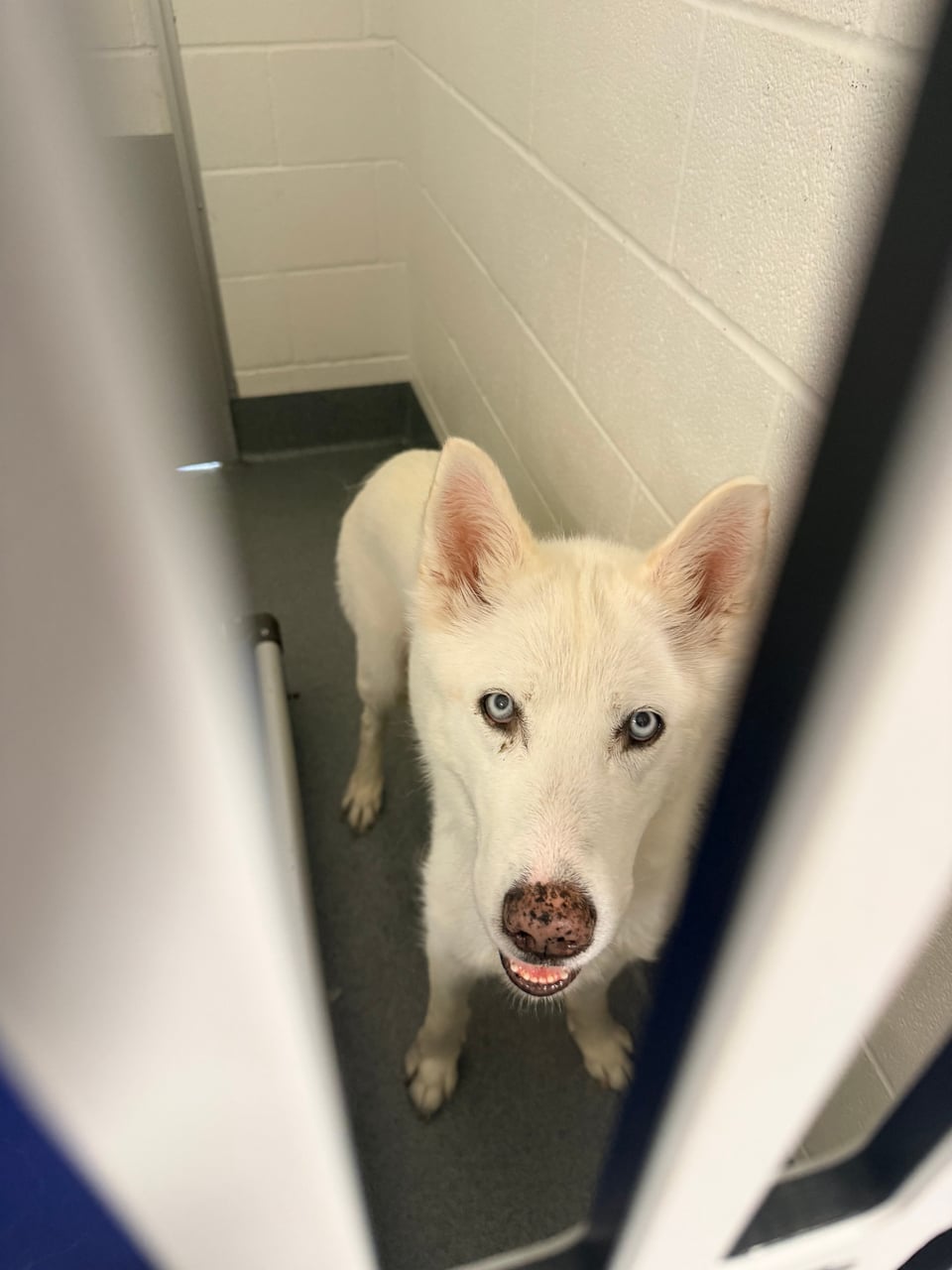 Additional photo of STELLA