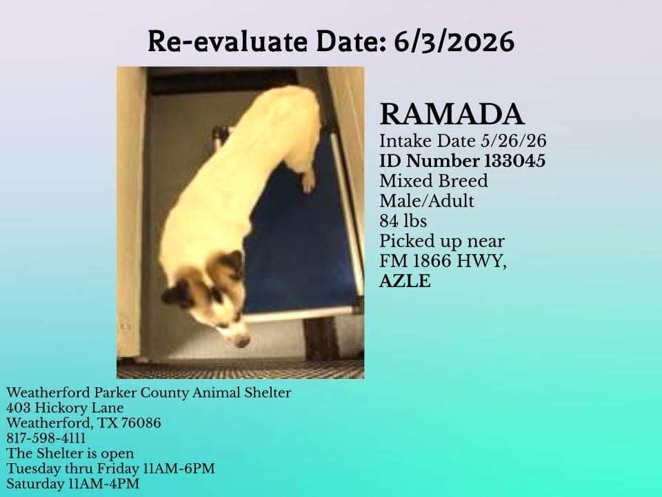 Additional photo of RAMADA