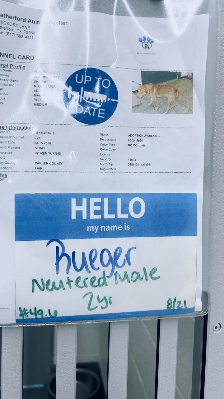 Additional photo of RUGER