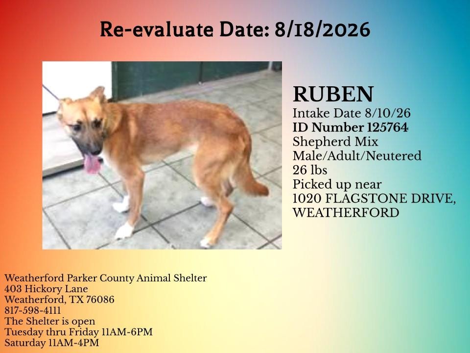 Additional photo of RUBEN