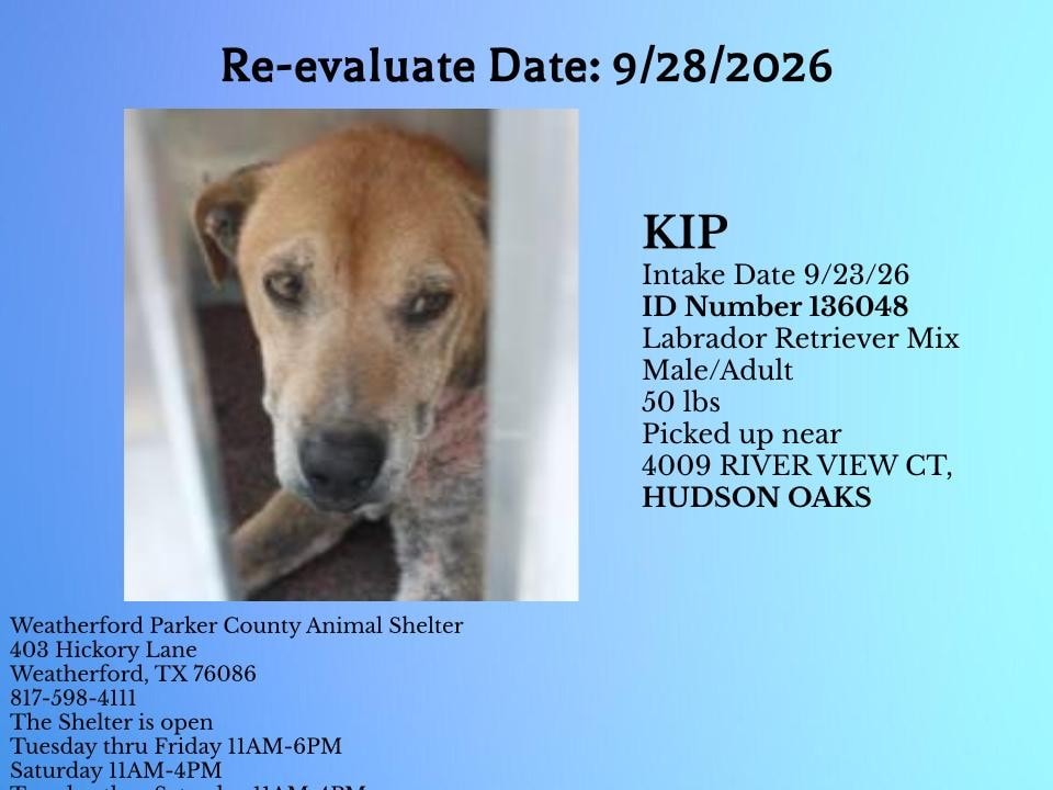 Additional photo of KIP