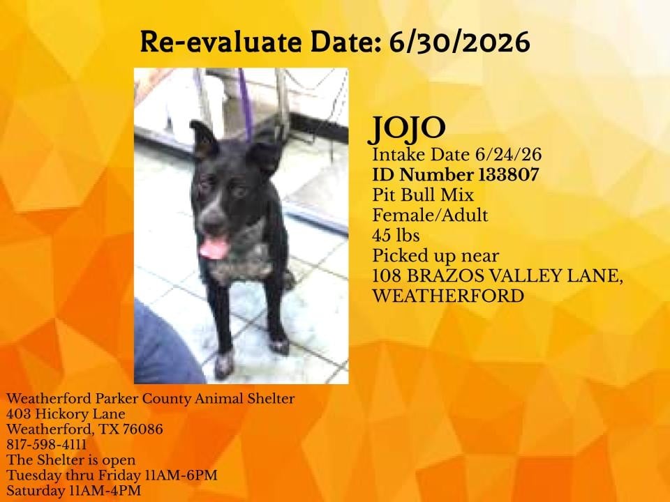 Additional photo of JOJO