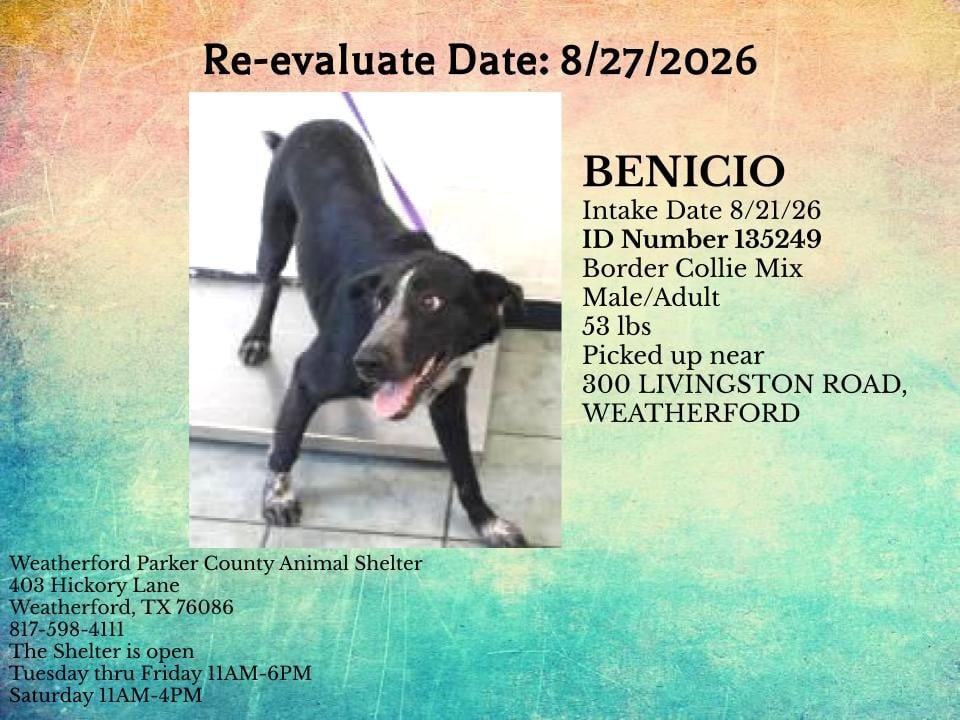 Additional photo of BENICIO