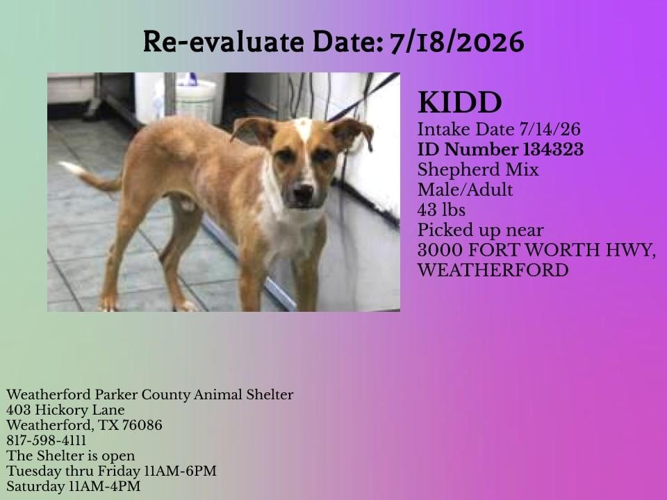 Additional photo of KIDD