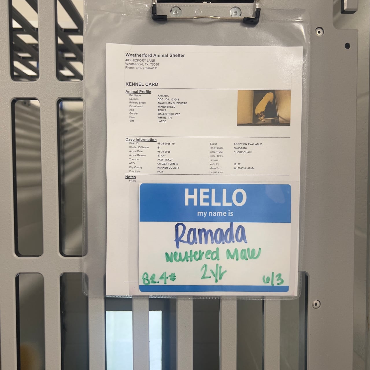 Additional photo of RAMADA