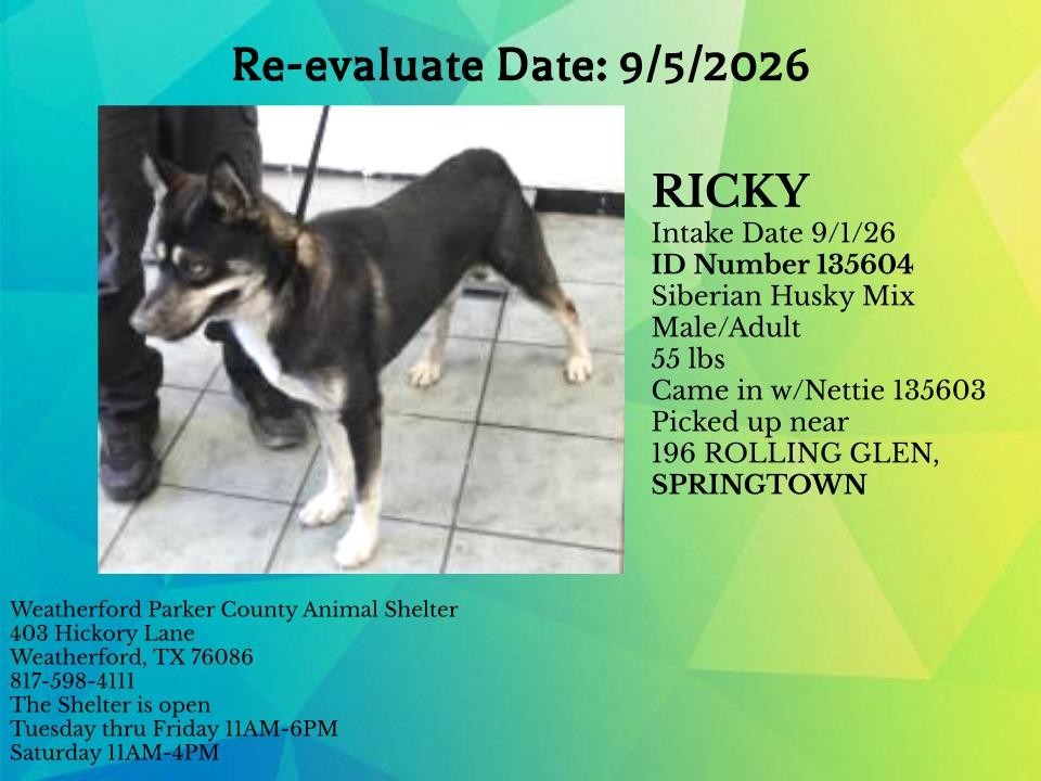 Additional photo of RICKY