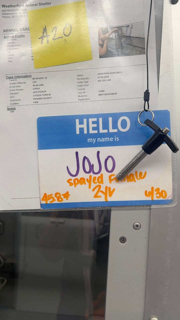 Additional photo of JOJO
