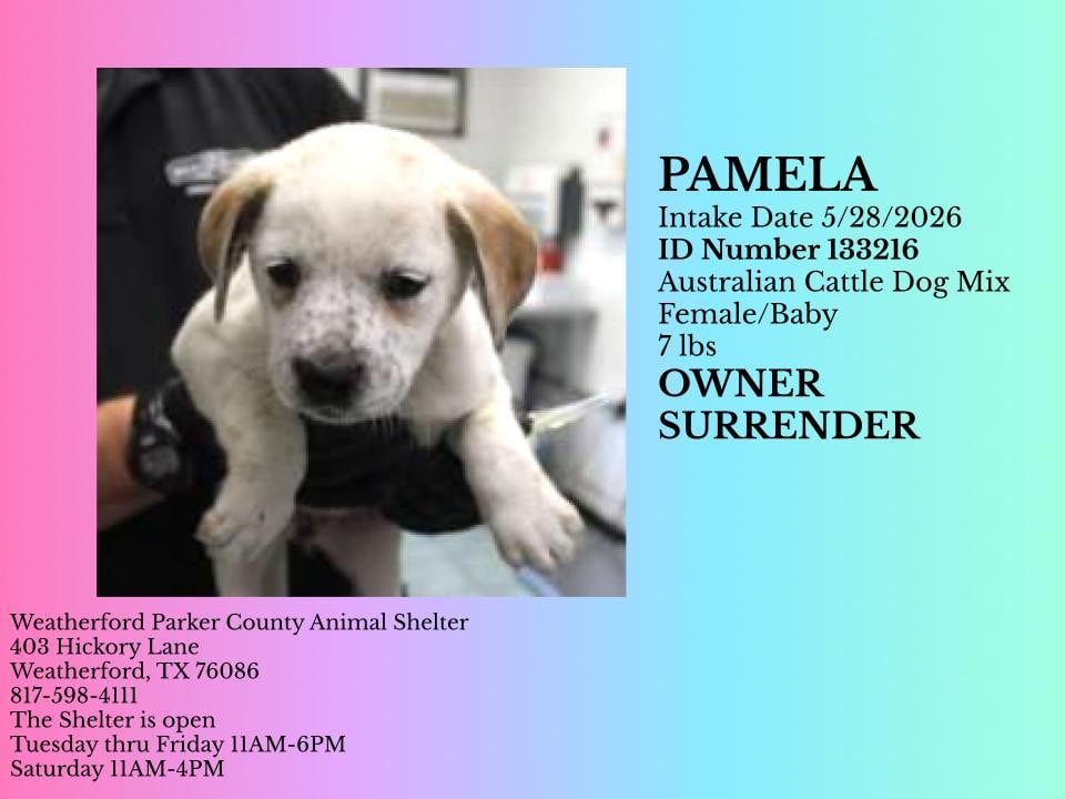 PAMELA