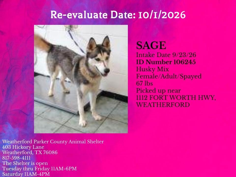Additional photo of SAGE
