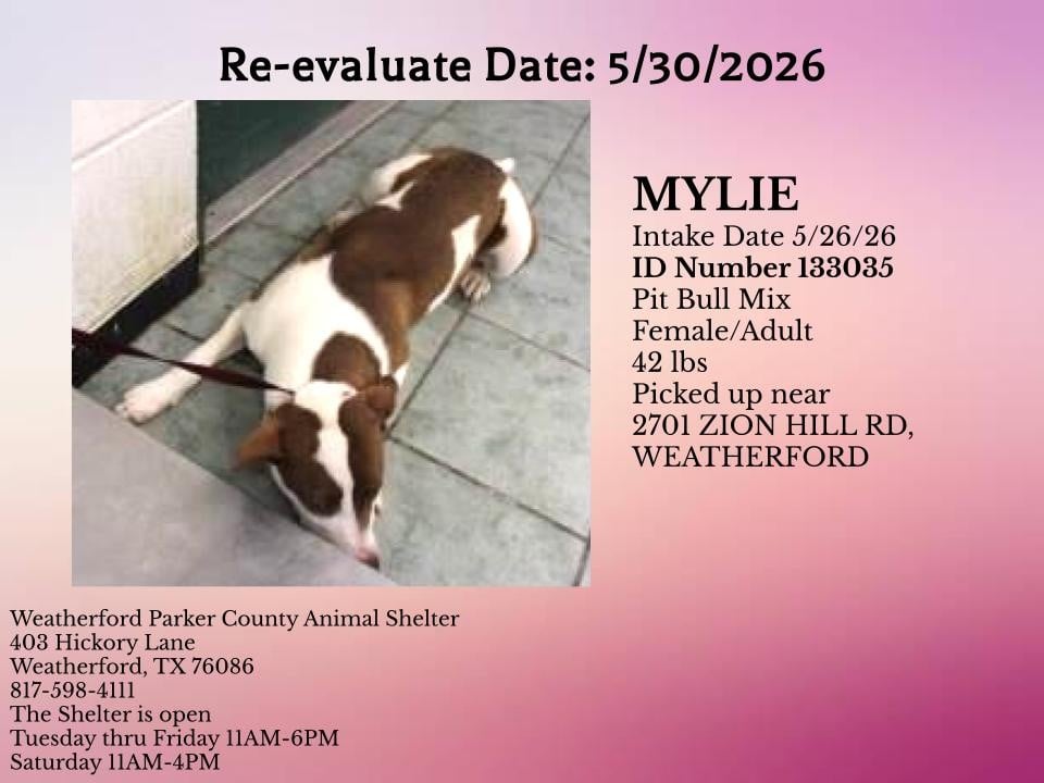 MYLIE