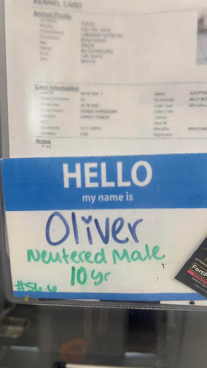 Additional photo of OLIVER