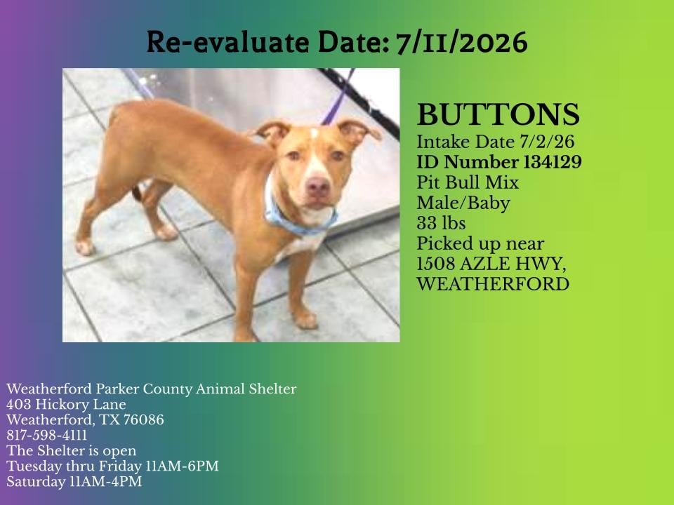 Additional photo of BUTTONS