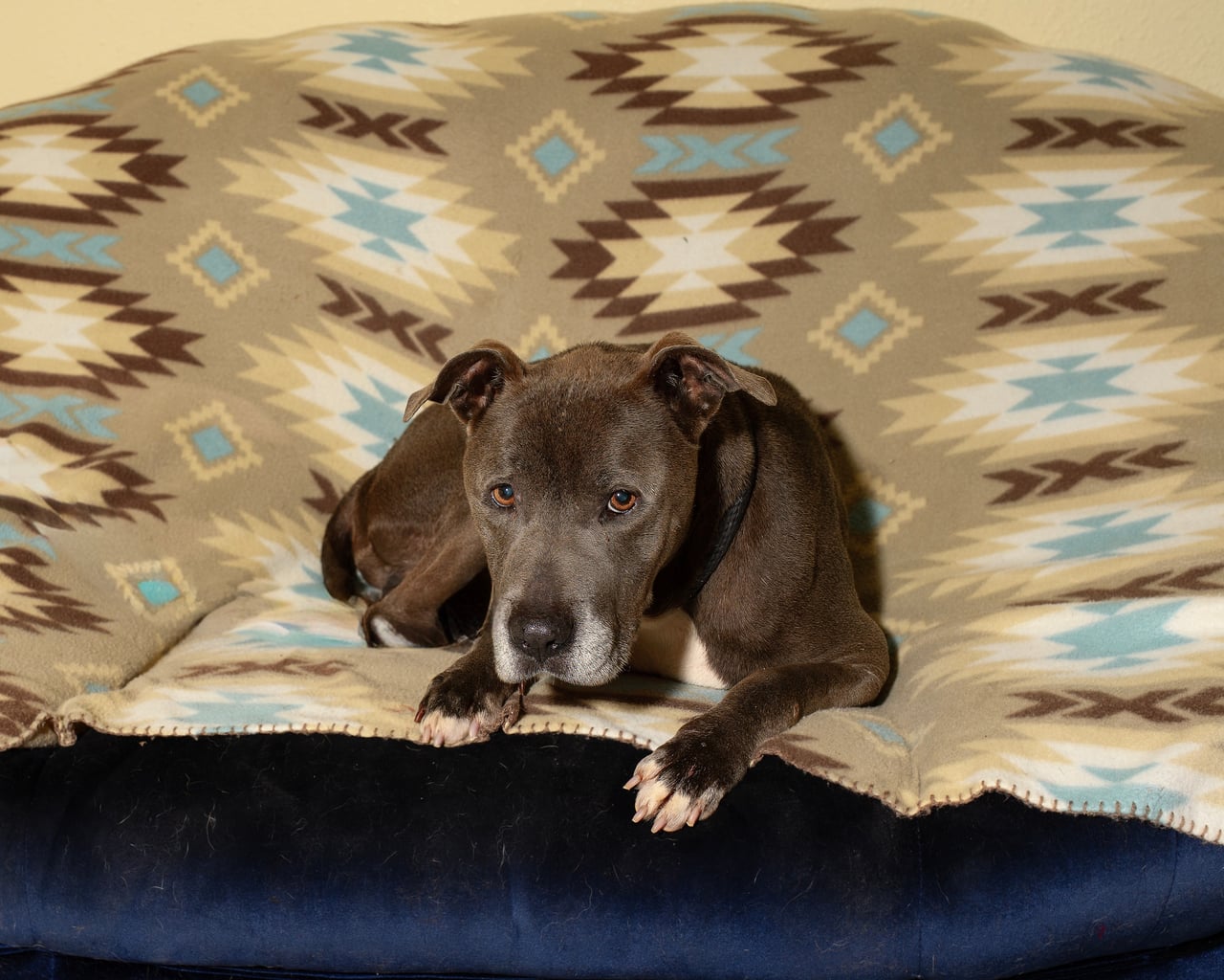 Additional photo of WILBUR