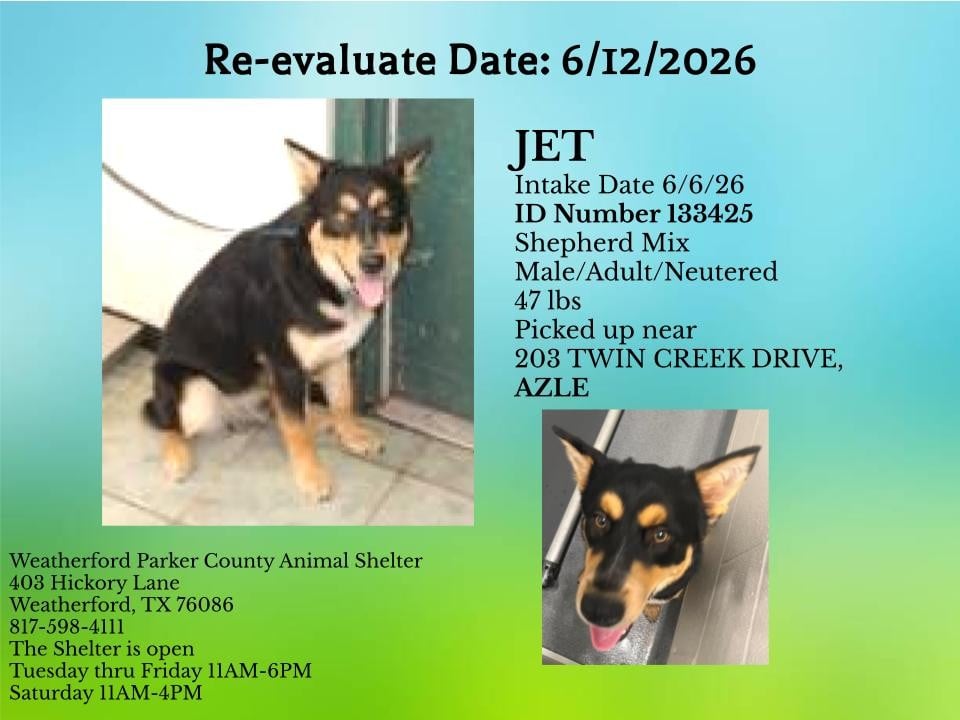 JET, a Husky