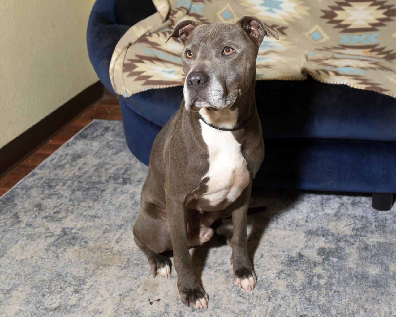Additional photo of WILBUR
