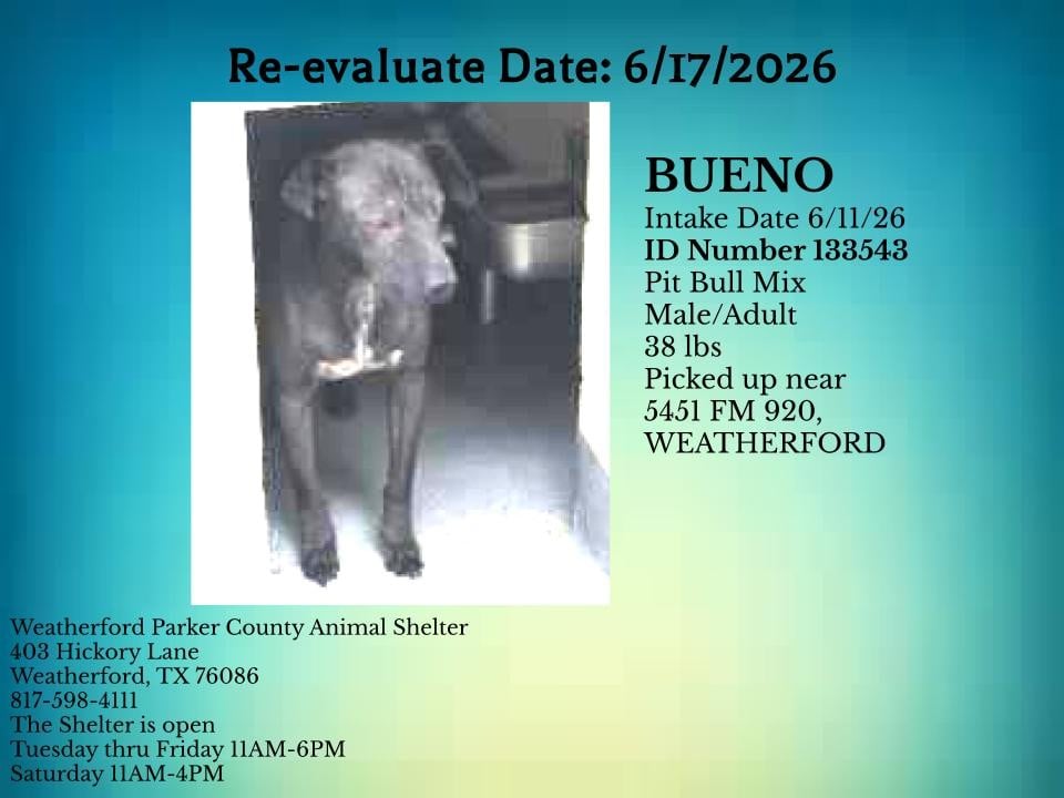 Additional photo of BUENO