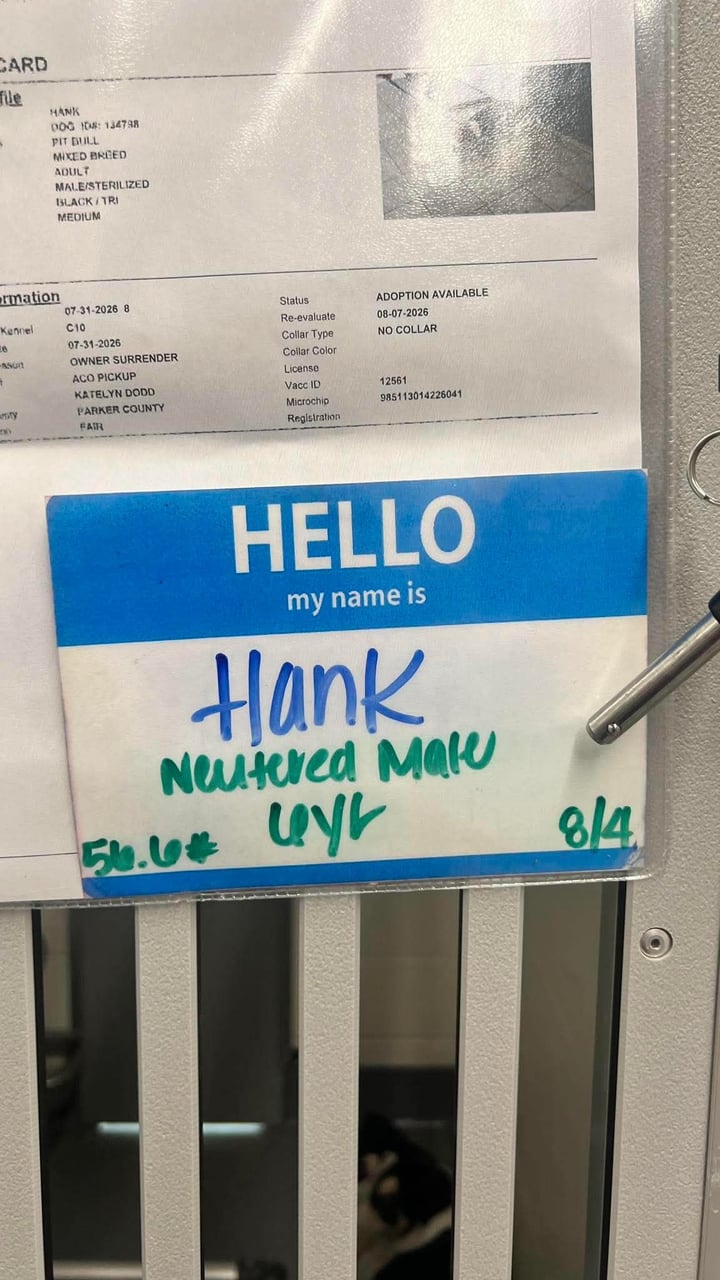 Additional photo of HANK