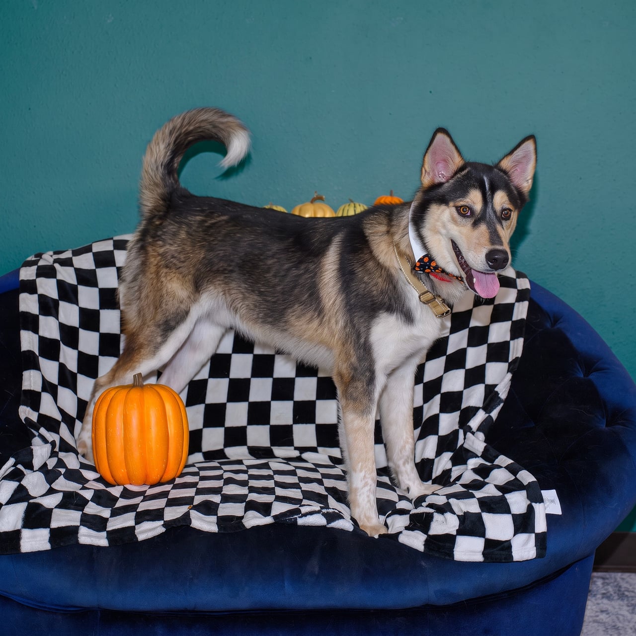 Additional photo of RILO