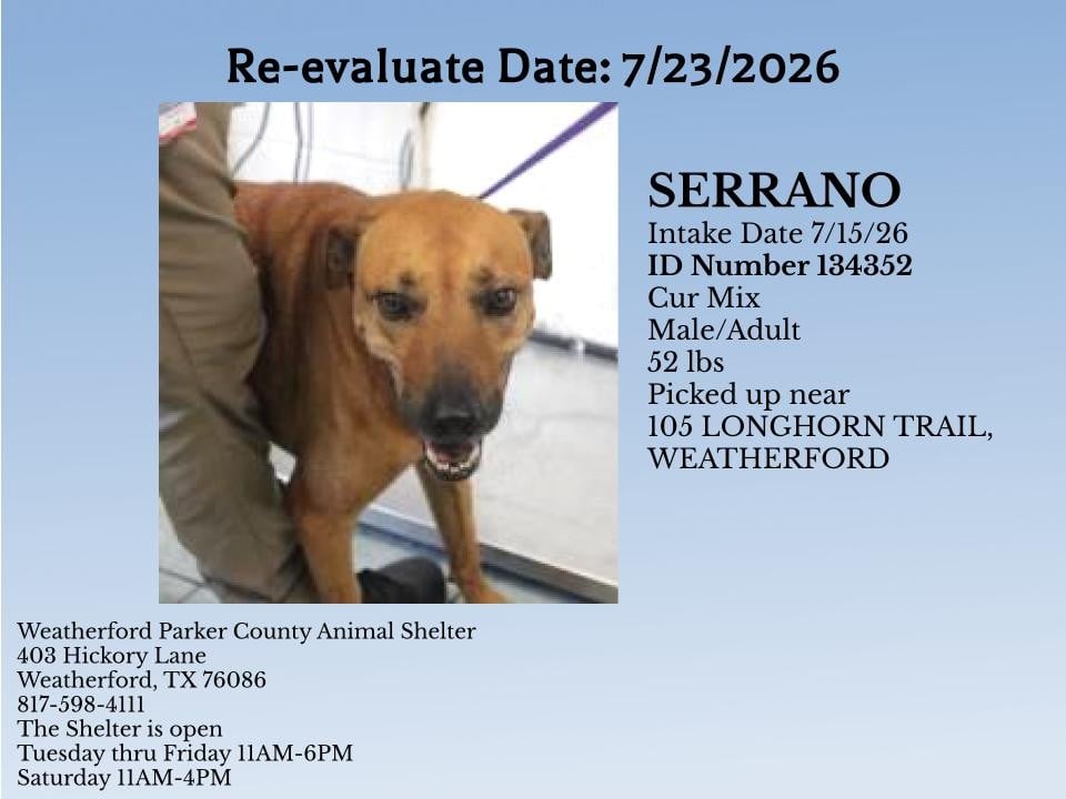 Additional photo of SERRANO