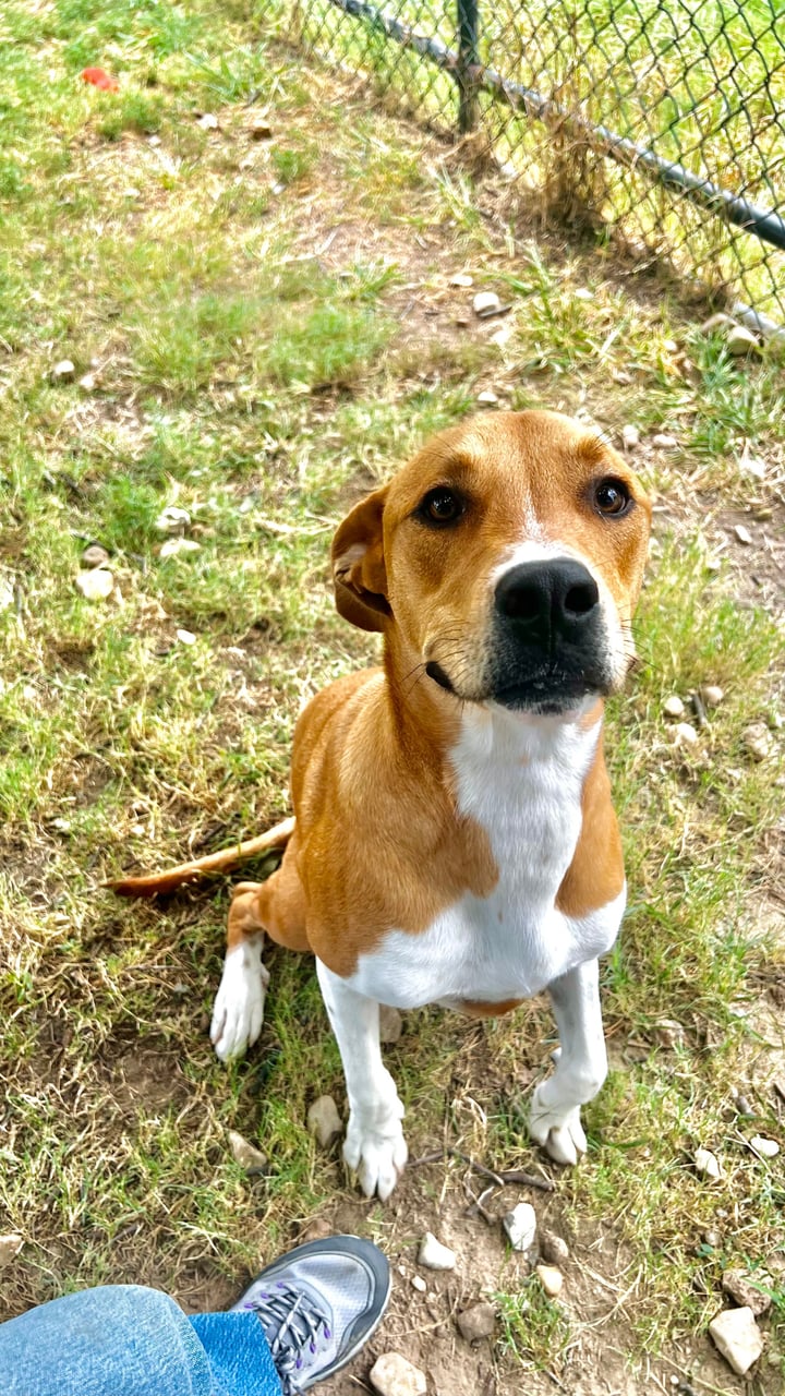 Additional photo of GUMBO