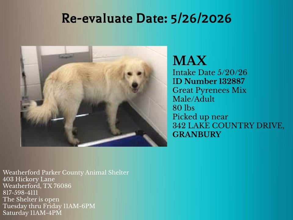 Additional photo of MAX