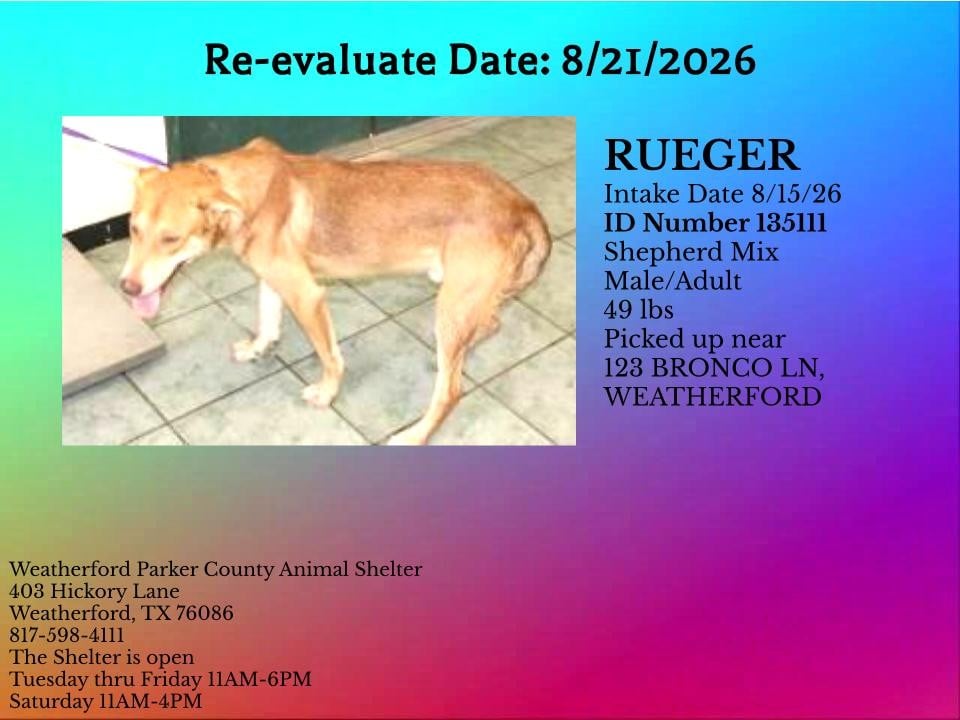 Additional photo of RUGER