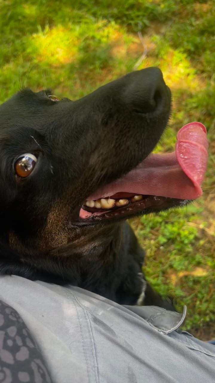 Additional photo of LUCKY